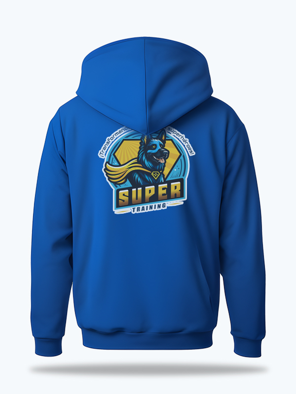Sudaderas Estampadas con DTF Textil (10 pz)
